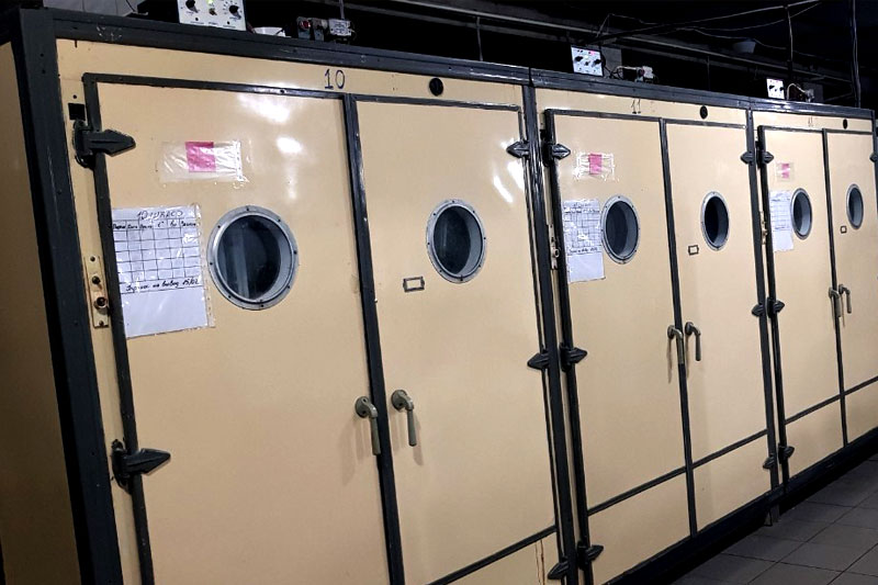 Інкубаційна станція «Вишнева долина» продає добових курчат, бройлерів, індичат, каченят, гусенят